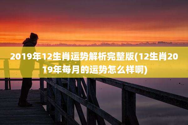 2019年12生肖运势解析完整版(12生肖2019年每月的运势怎么样啊)