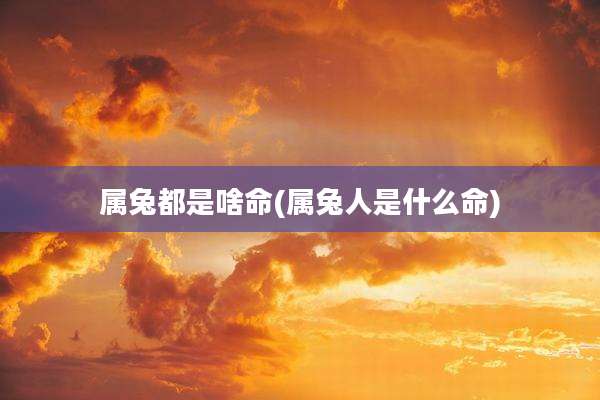 属兔都是啥命(属兔人是什么命)