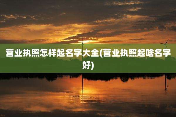 营业执照怎样起名字大全(营业执照起啥名字好)