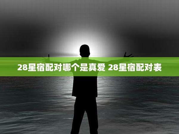 28星宿配对哪个是真爱 28星宿配对表