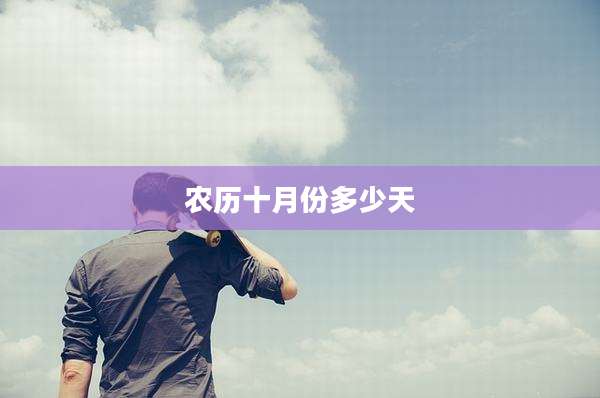 农历十月份多少天