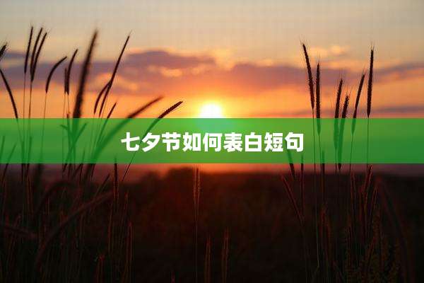 七夕节如何表白短句