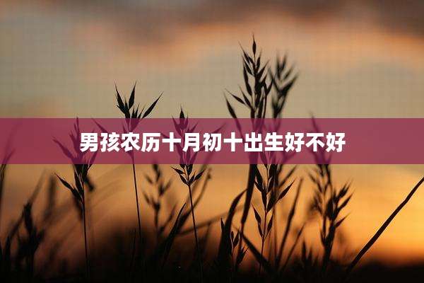 男孩农历十月初十出生好不好