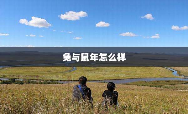兔与鼠年怎么样