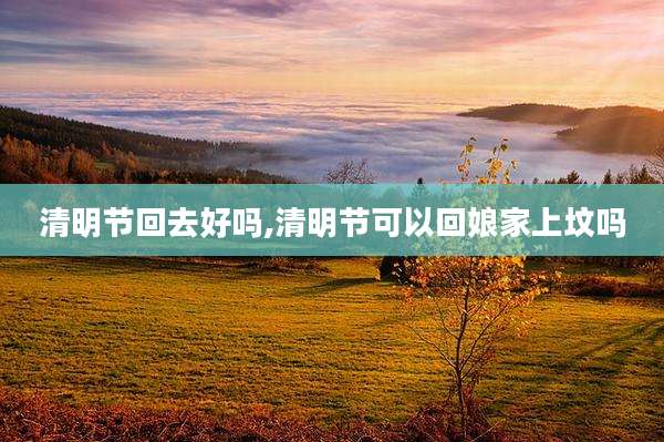 清明节回去好吗,清明节可以回娘家上坟吗