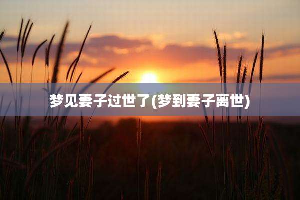 梦见妻子过世了(梦到妻子离世)