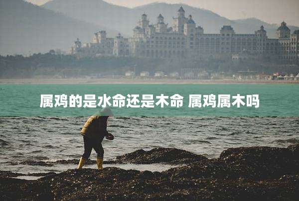 属鸡的是水命还是木命 属鸡属木吗