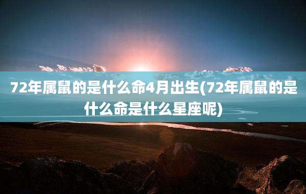 72年属鼠的是什么命4月出生(72年属鼠的是什么命是什么星座呢)