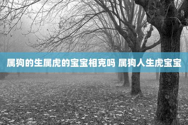 属狗的生属虎的宝宝相克吗 属狗人生虎宝宝