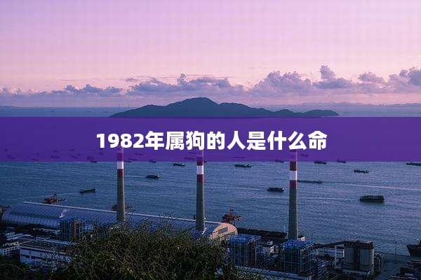 1982年属狗的人是什么命