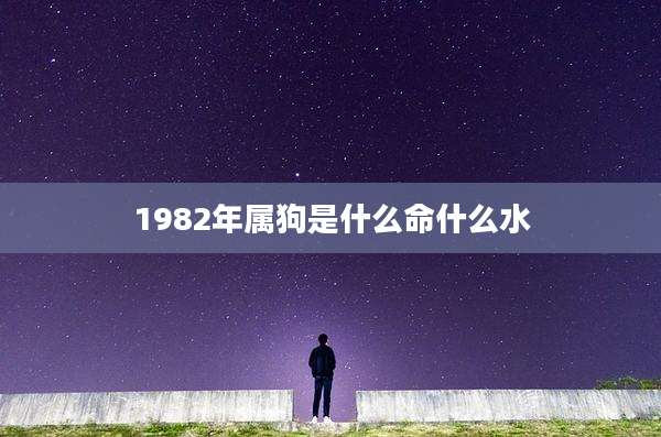 1982年属狗是什么命什么水