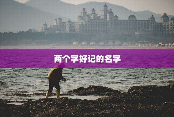 两个字好记的名字