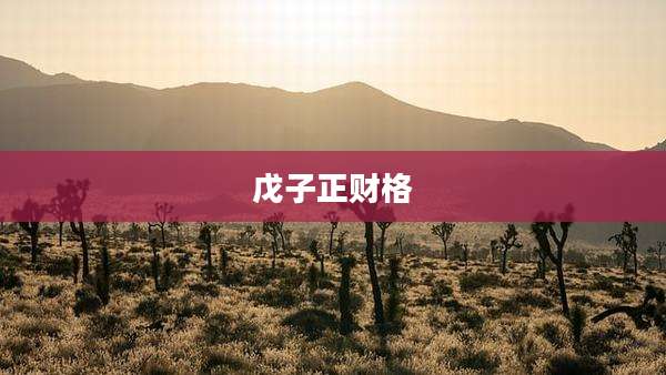 戊子正财格