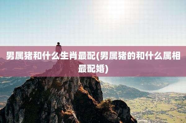 男属猪和什么生肖最配(男属猪的和什么属相最配婚)