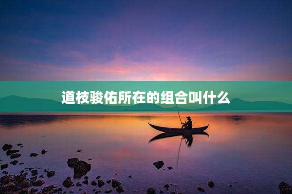 道枝骏佑所在的组合叫什么