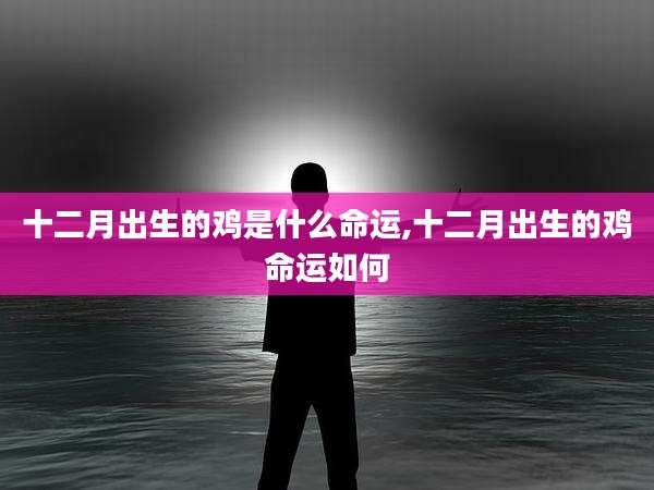 十二月出生的鸡是什么命运,十二月出生的鸡命运如何