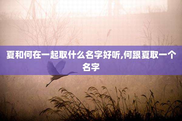 夏和何在一起取什么名字好听,何跟夏取一个名字