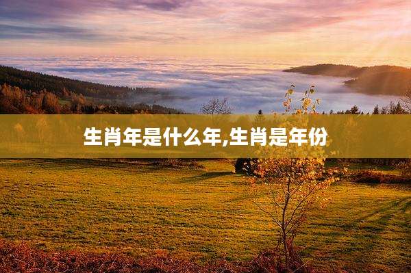 生肖年是什么年,生肖是年份