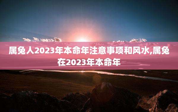 属兔人2023年本命年注意事项和风水,属兔在2023年本命年
