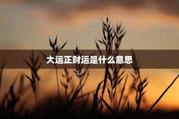 大运正财运是什么意思