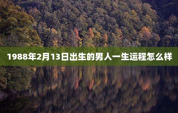 1988年2月13日出生的男人一生运程怎么样
