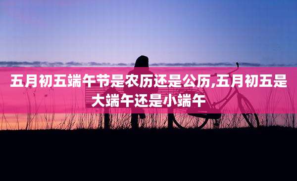 五月初五端午节是农历还是公历,五月初五是大端午还是小端午