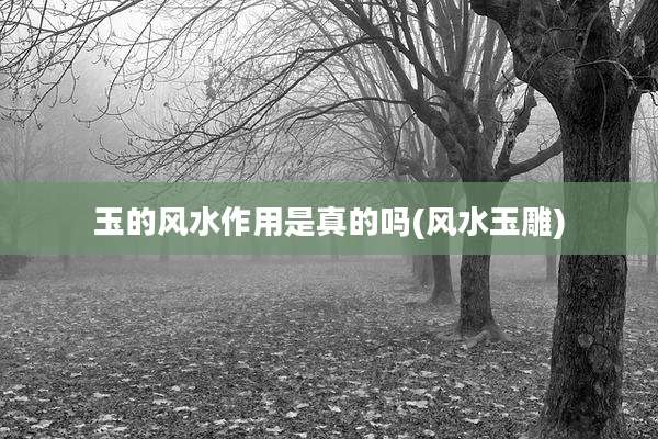 玉的风水作用是真的吗(风水玉雕)