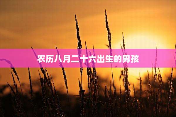 农历八月二十六出生的男孩
