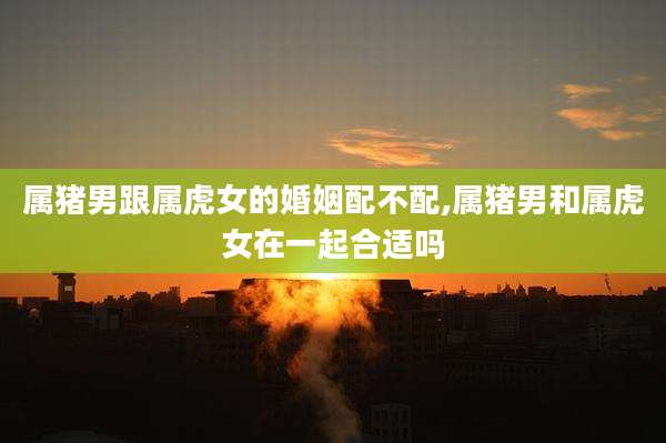 属猪男跟属虎女的婚姻配不配,属猪男和属虎女在一起合适吗