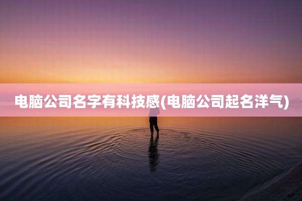 电脑公司名字有科技感(电脑公司起名洋气)