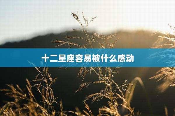 十二星座容易被什么感动