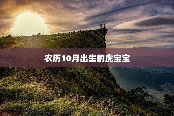 农历10月出生的虎宝宝
