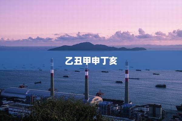 乙丑甲申丁亥