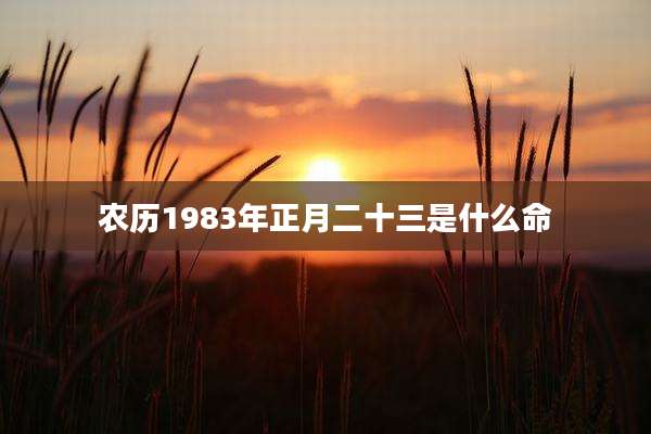 农历1983年正月二十三是什么命