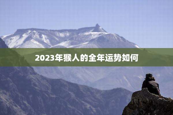 2023年猴人的全年运势如何