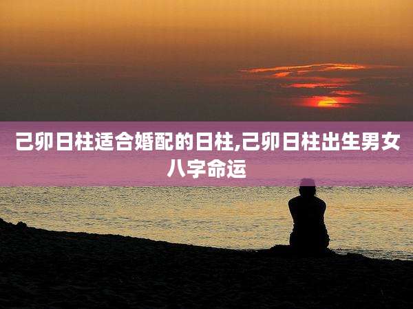 己卯日柱适合婚配的日柱,己卯日柱出生男女八字命运