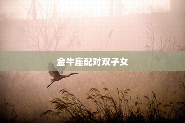 金牛座配对双子女