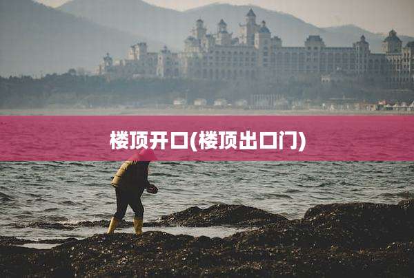 楼顶开口(楼顶出口门)