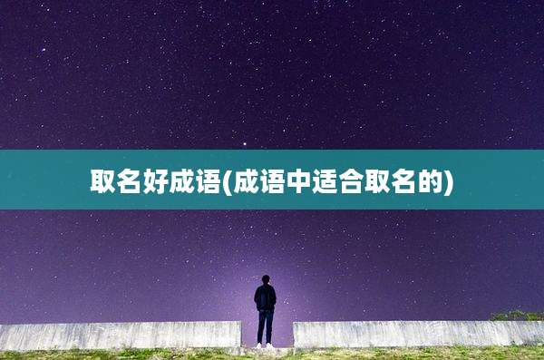 取名好成语(成语中适合取名的)