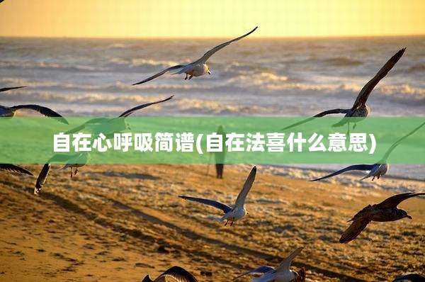 自在心呼吸简谱(自在法喜什么意思)
