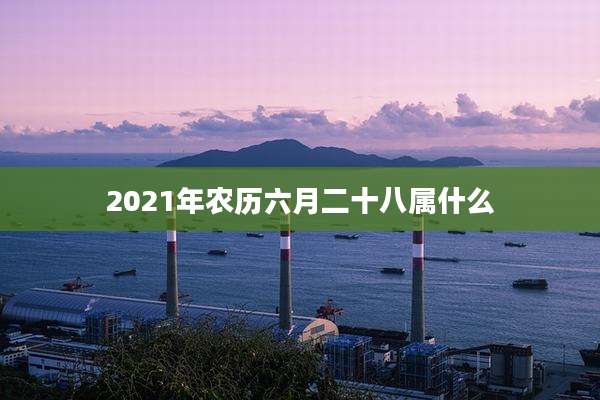 2021年农历六月二十八属什么