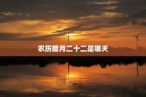 农历腊月二十二是哪天