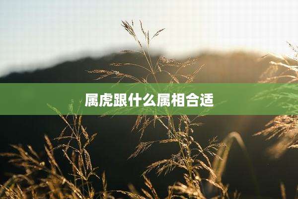 属虎跟什么属相合适