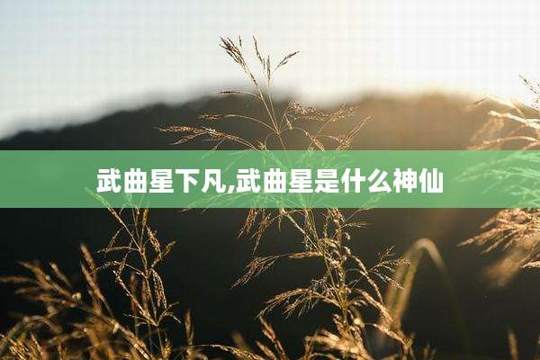 武曲星下凡,武曲星是什么神仙