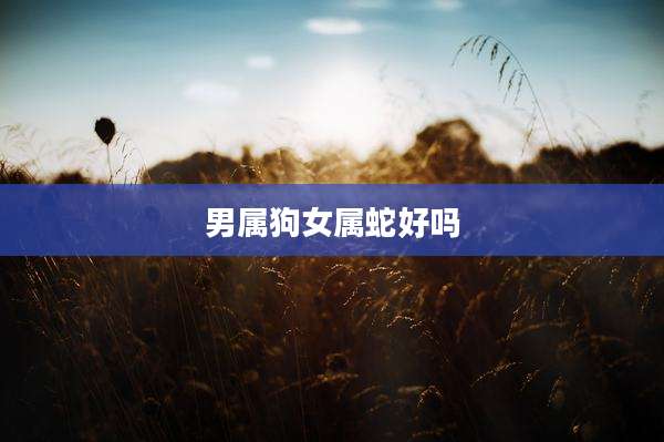 男属狗女属蛇好吗