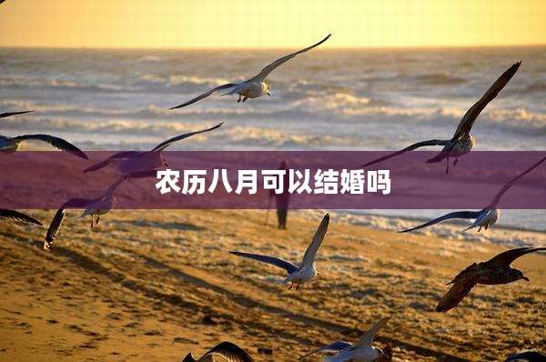 农历八月可以结婚吗