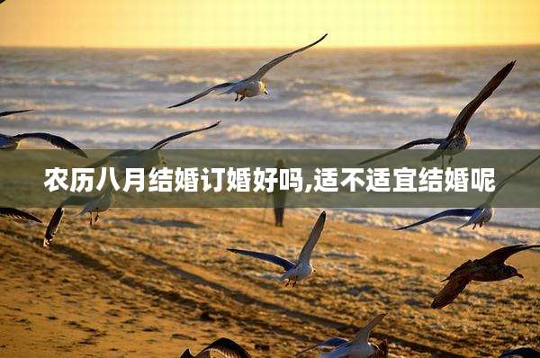 农历八月结婚订婚好吗,适不适宜结婚呢