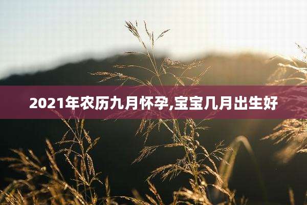 2021年农历九月怀孕,宝宝几月出生好