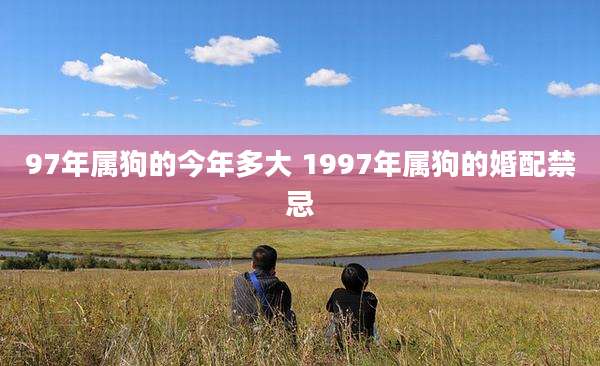 97年属狗的今年多大 1997年属狗的婚配禁忌
