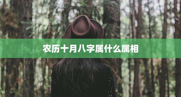 农历十月八字属什么属相